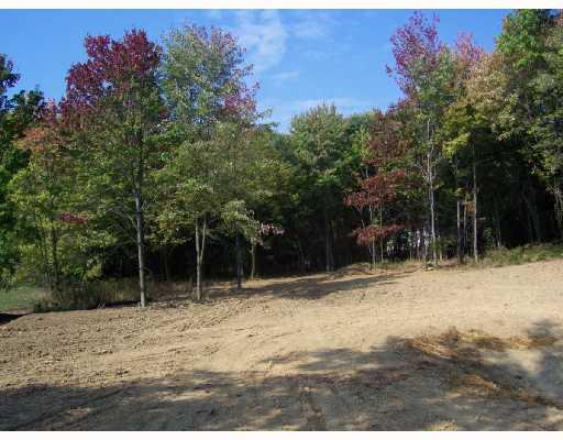 196 Mary Reed Road Economy, PA 15005 - Photo 6 of 8 Land/Lot.