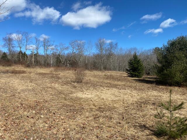 0 Brodis Road Lincolnville, ME 04849 - Photo 11 of 11 IMG_3803