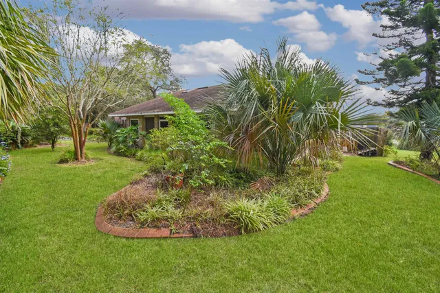 a view of a garden with a fountain