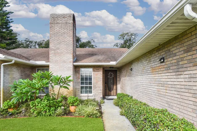 a view of a backyard with plants