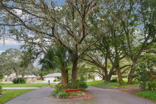 a street view with large trees