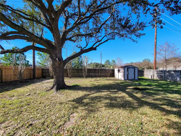 a view of a backyard