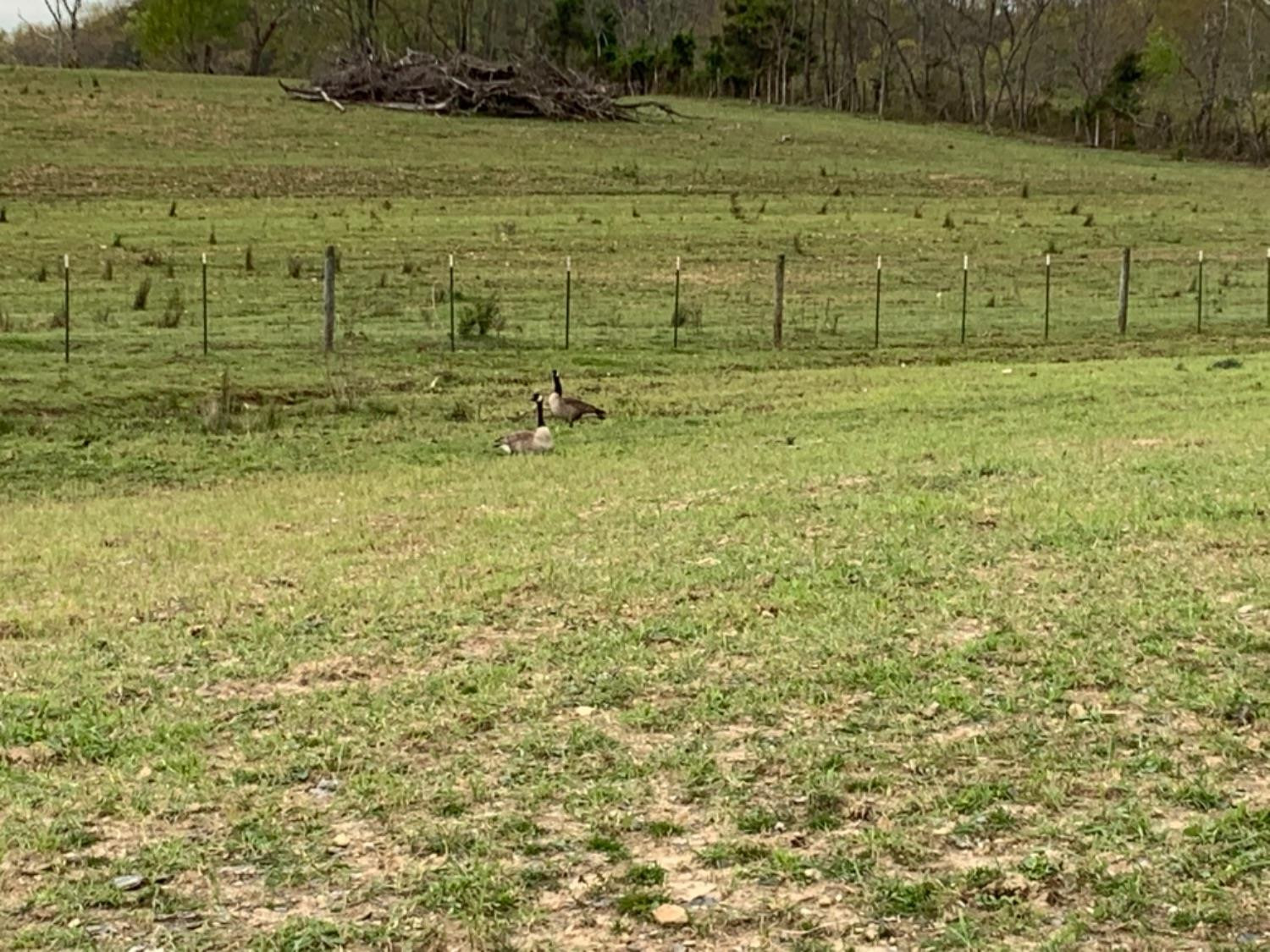 1 Bowen Road Stanford, KY 40484 - Photo 7 of 19 Photo 7