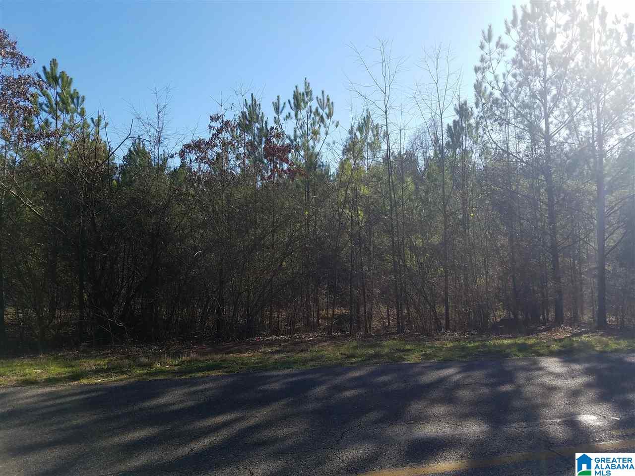 0 Cove Access Road, Unit 7 ACRES Talladega, AL 35160 - Photo 6 of 19
