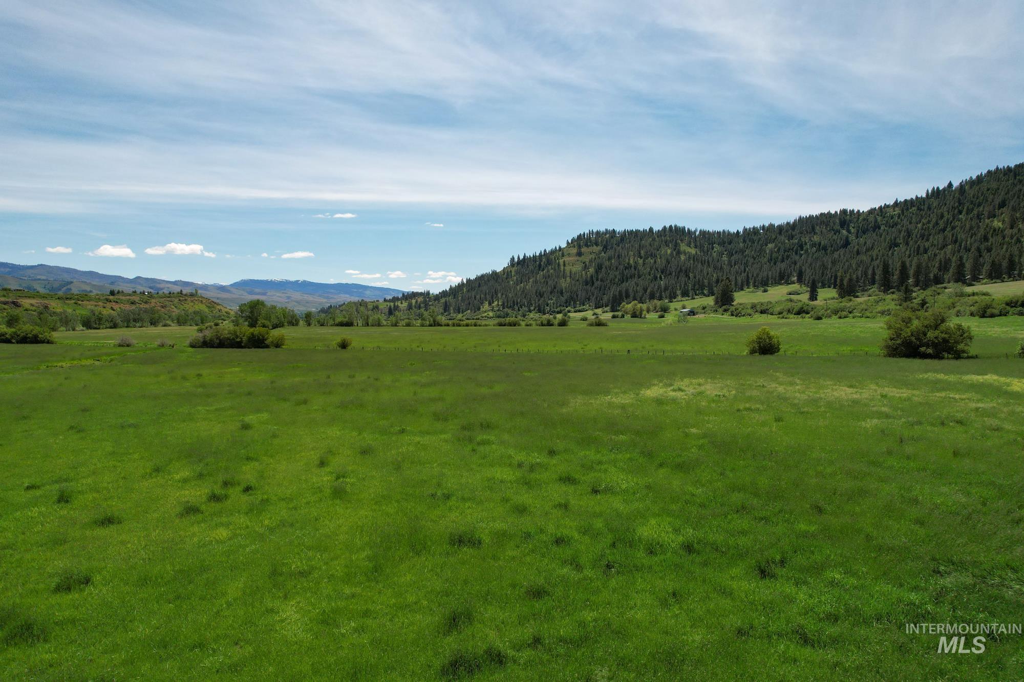 Council-cumprum Council-Cuprum Road Council, ID 83612 - Photo 4 of 30