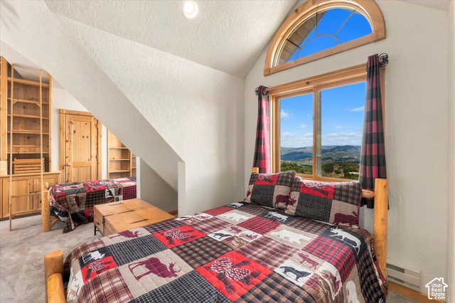 1701 Oak Road Coalville, UT 84017 - Photo 62 of 71 Arched transom window, wood-trimmed windows, built-in wooden shelving, built-in wooden cabinetry, and sloped ceiling