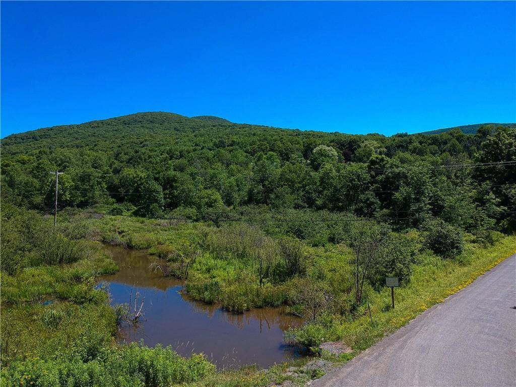 263 Schuman Road Roxbury, NY 12474 - Photo 10 of 13