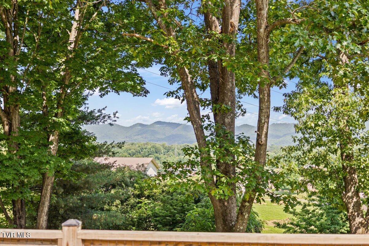 152 Cochran Road Jonesborough, TN 37659 - Photo 17 of 62 18-128A6867