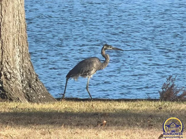 $359,000 | 7 Lakeshore Drive, Emporia, KS 66801