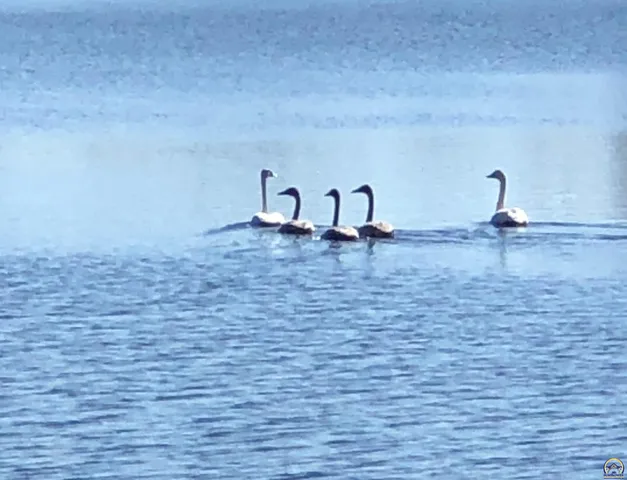 $359,000 | 7 Lakeshore Drive, Emporia, KS 66801