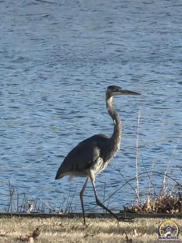 $359,000 | 7 Lakeshore Drive, Emporia, KS 66801