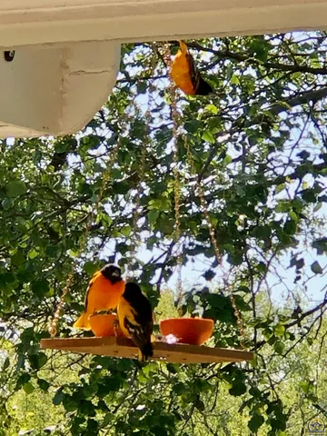 $359,000 | 7 Lakeshore Drive, Emporia, KS 66801