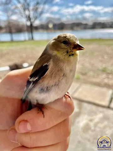 $359,000 | 7 Lakeshore Drive, Emporia, KS 66801