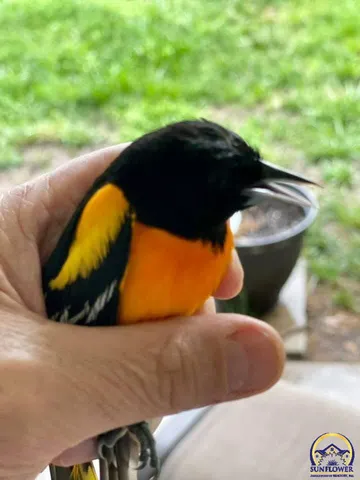 $359,000 | 7 Lakeshore Drive, Emporia, KS 66801