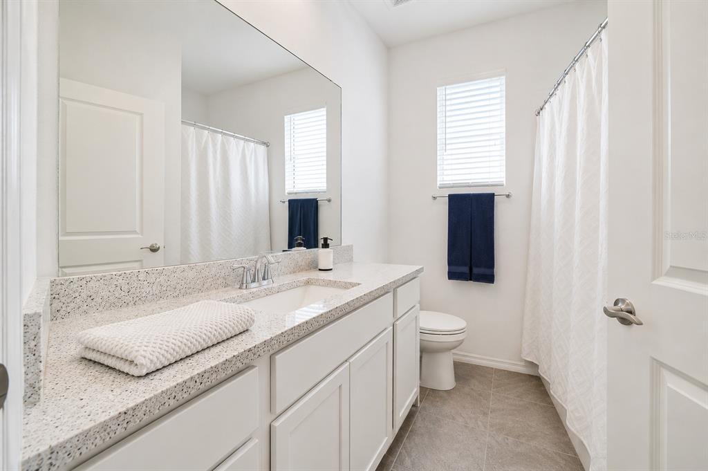 31398 Ancient Sage Road Wesley Chapel, FL 33545 - Photo 11 of 28