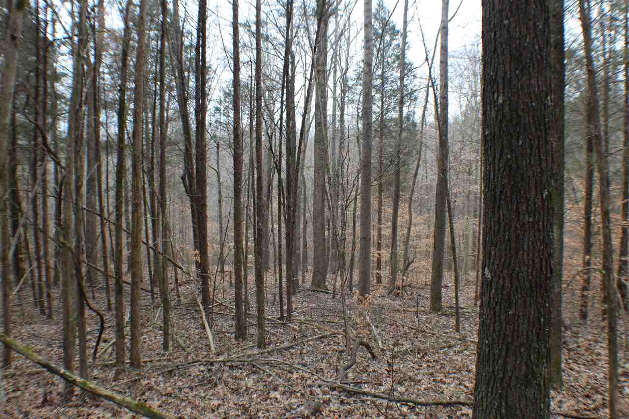 5606 Forgy Mill Road Dunmor, KY 42339 - Photo 24 of 28 Gallery Image 24