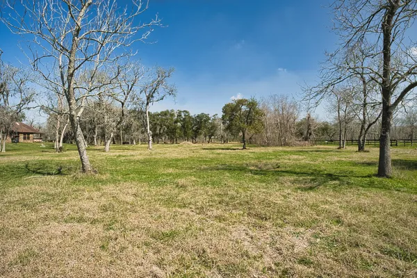 a view of a field with trees