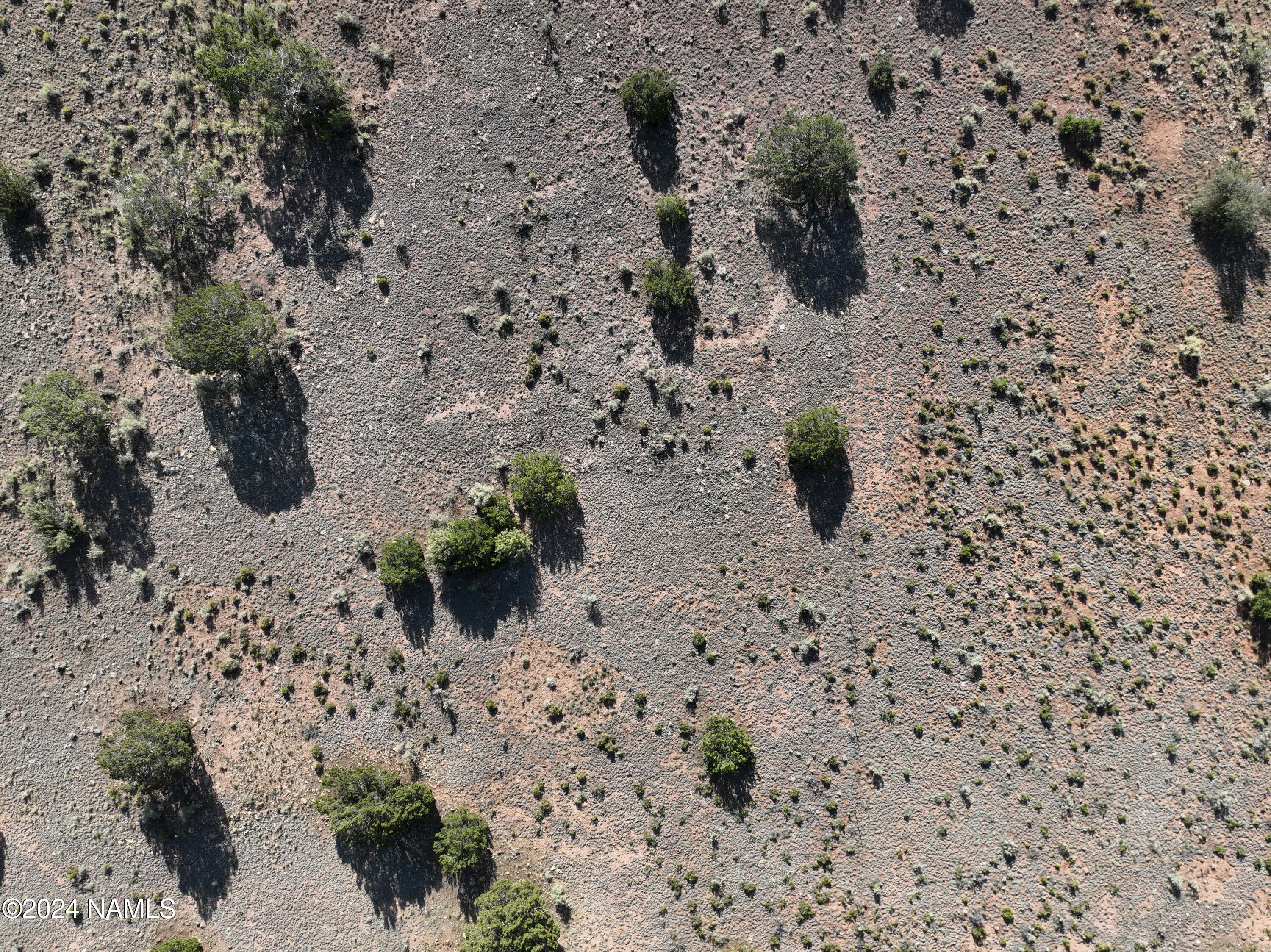5892 South Quivero Road Williams, AZ 86046 - Photo 25 of 26 a view of a sand space