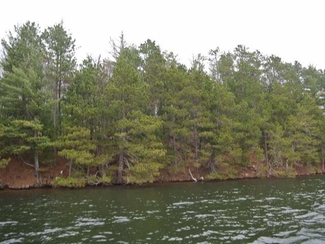 Lot 2 Big Ripley Island Minocqua, WI 54548 - Photo 18 of 19 Gallery Image 18
