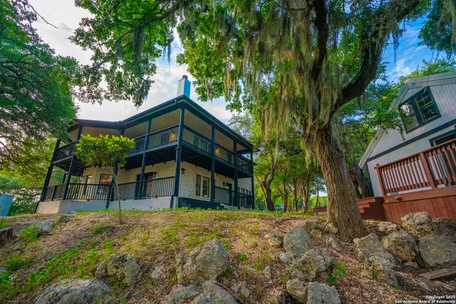 a view of a forest with trees