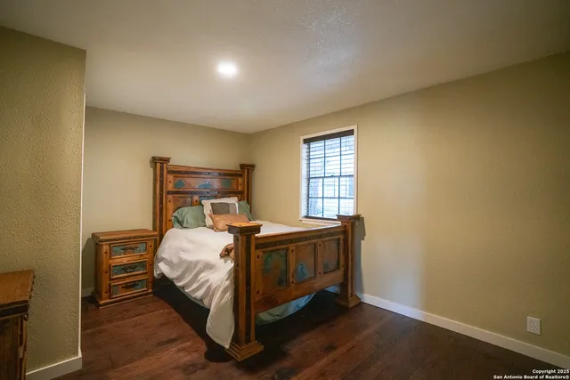 a view of a yard with plants and a large tree