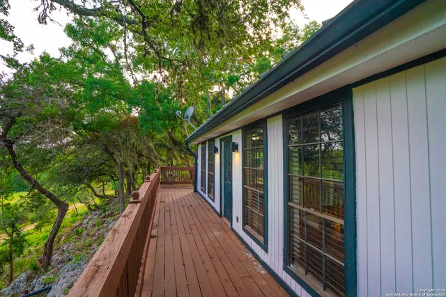 a view of field with tall trees