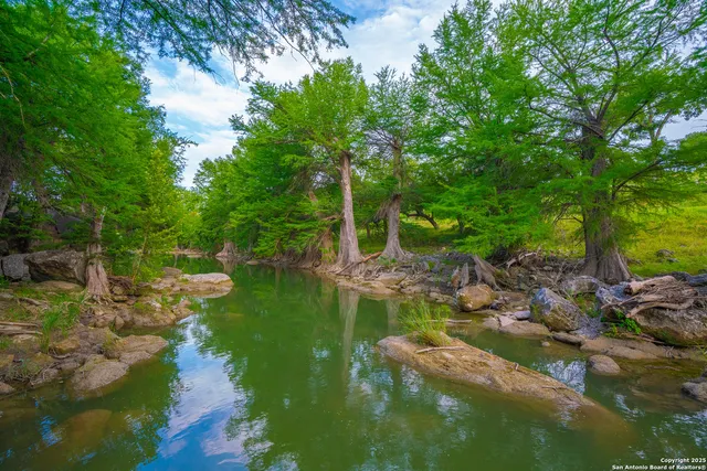 a backyard of a house with lots of green space