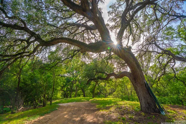 $1,550,000 | 103 Misty Waters, Boerne, TX 78006