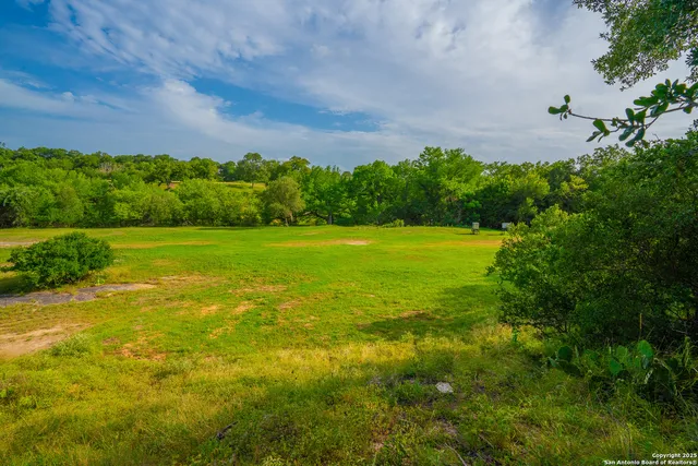 a lake view with a large trees all around