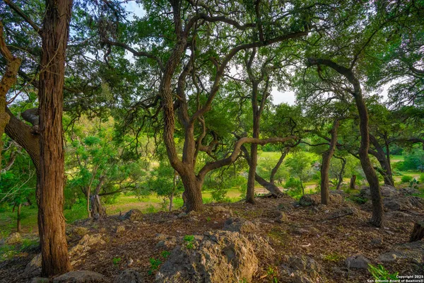 $1,550,000 | 103 Misty Waters, Boerne, TX 78006