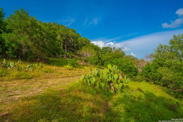 $1,550,000 | 103 Misty Waters, Boerne, TX 78006