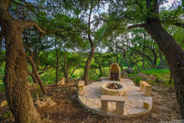 a backyard of a house with lots of plants and large trees