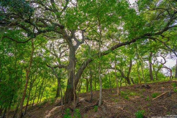 $1,550,000 | 103 Misty Waters, Boerne, TX 78006