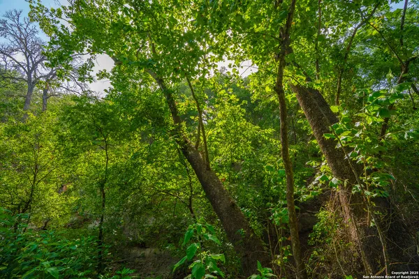 $1,550,000 | 103 Misty Waters, Boerne, TX 78006