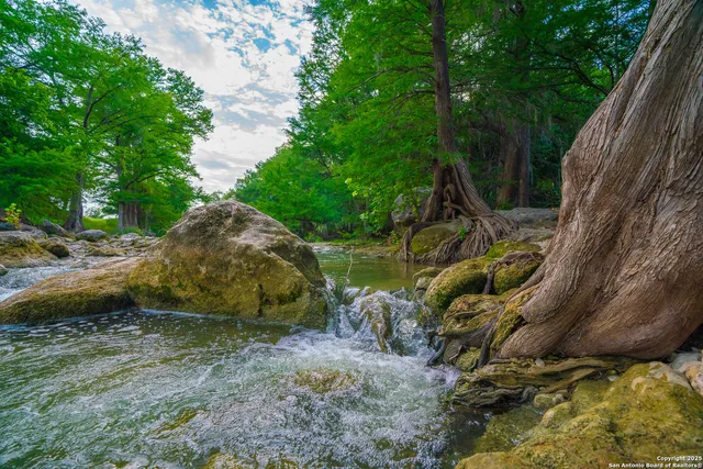 a backyard of a house with lots of trees