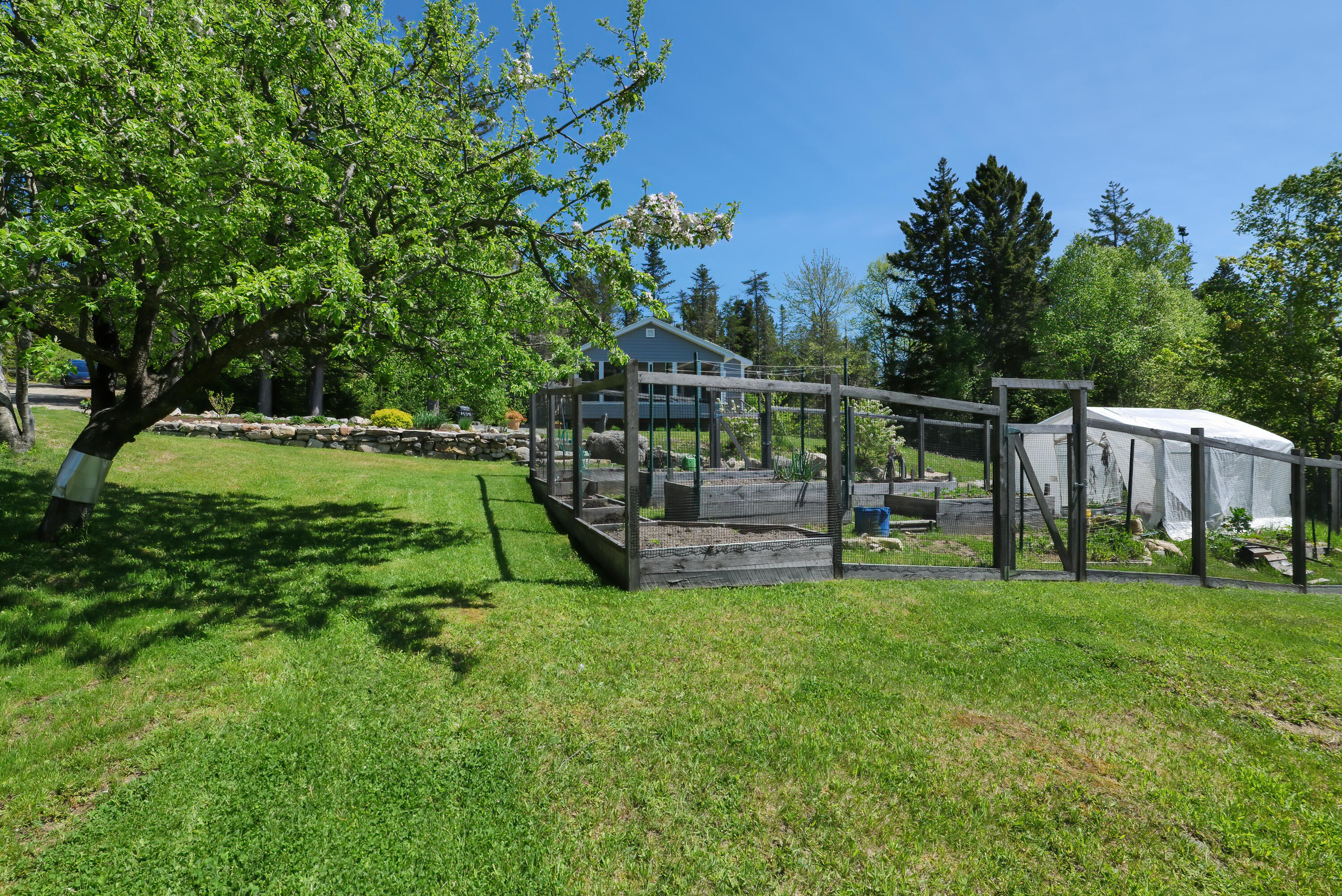 56-57 Roaring Brook Road Corea, ME 04624 - Photo 48 of 50 92-56 Roaing Brook Road-DTP