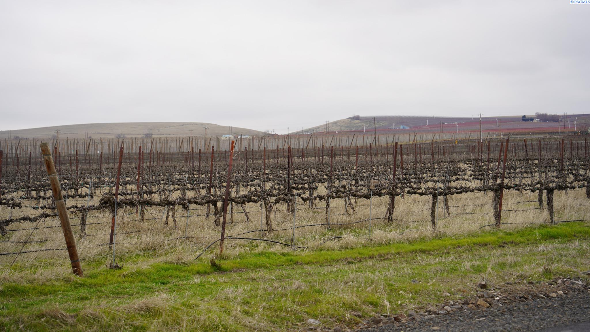 Nka West Knox Road Benton City, WA 99320 - Photo 3 of 26 Gallery Image 3