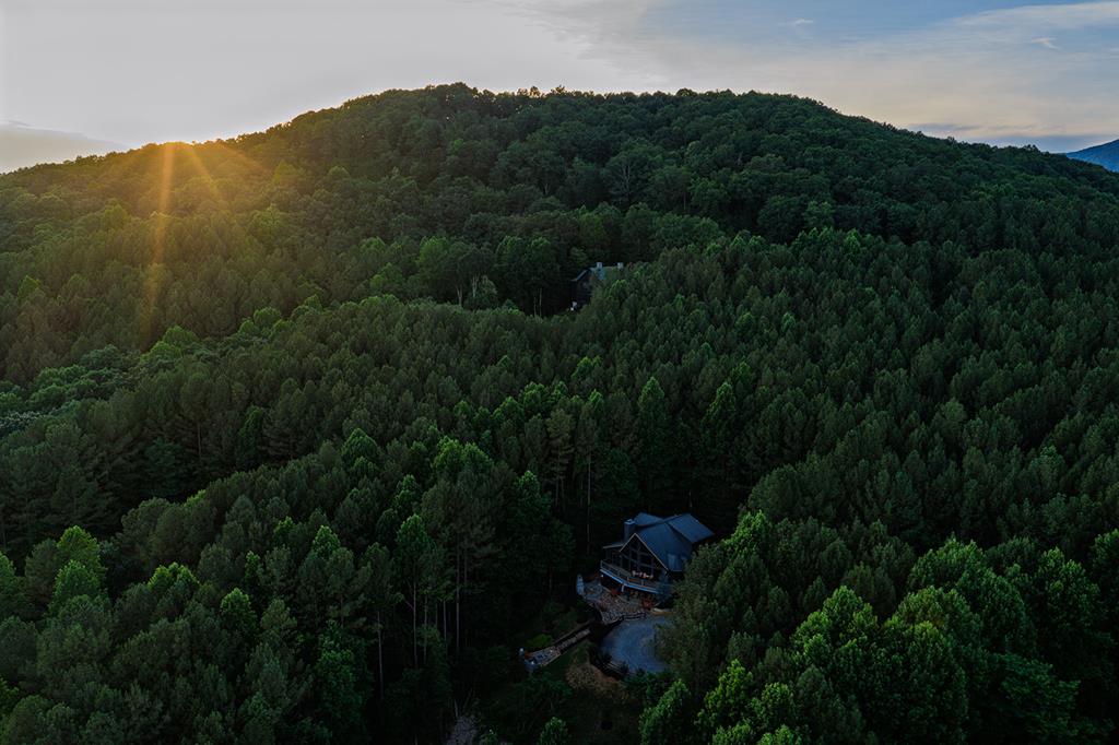 55 Ridge Top Drive Ellijay, GA 30536 - Photo 69 of 76