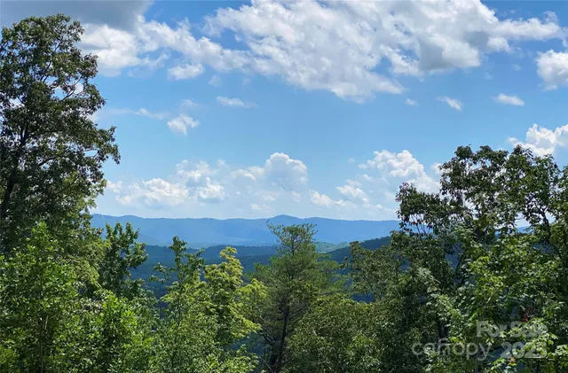 a view of a bunch of trees