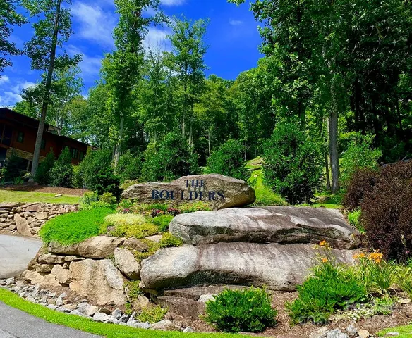 a view of a garden with plants and large trees