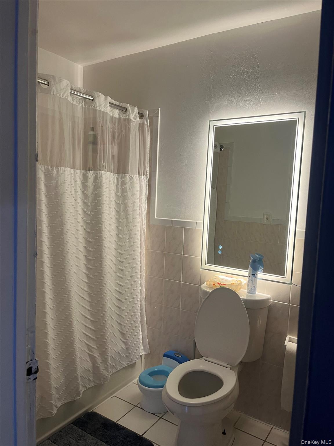 2393 Walton Avenue Bronx, NY 10468 - Photo 6 of 13 a bathroom with a toilet and a shower