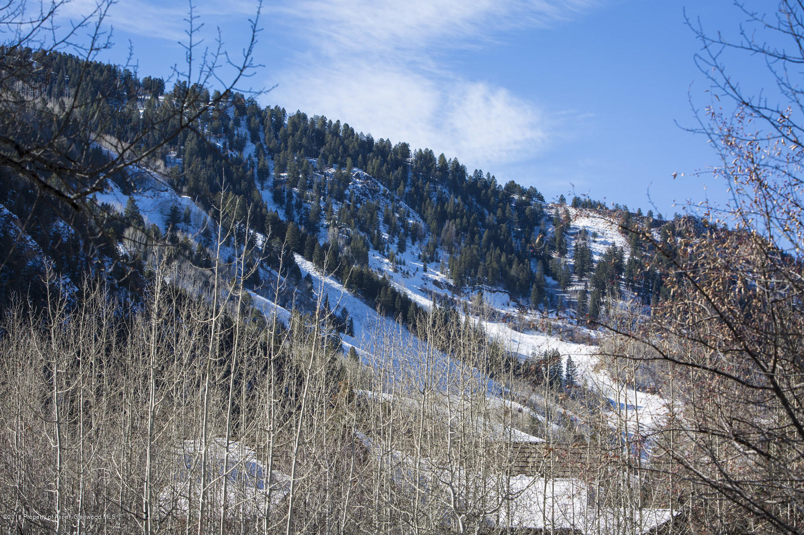 1395 Riverside Drive Aspen, CO 81611 - Photo 26 of 27 Aspen Mtn View