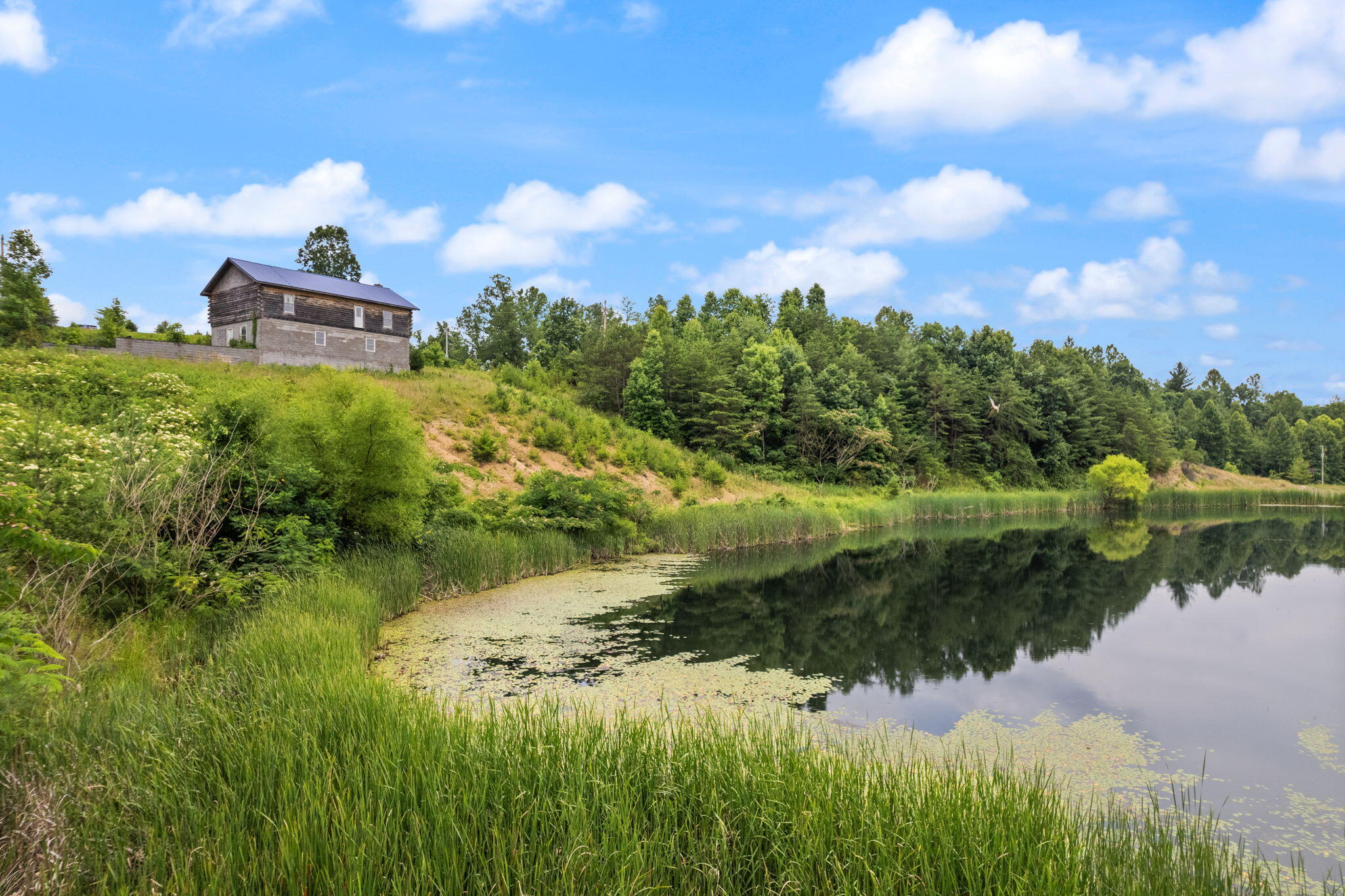 1686 Sandy Ridge Road Campton, KY 41301 - Photo 83 of 101 89-web-or-mls-DJI_0216