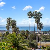 a view of a flower in the background