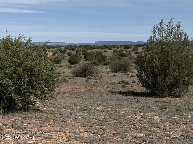 363- Via Dolorosa Road Seligman, AZ 86337 - Photo 1 of 12 IMG_1095