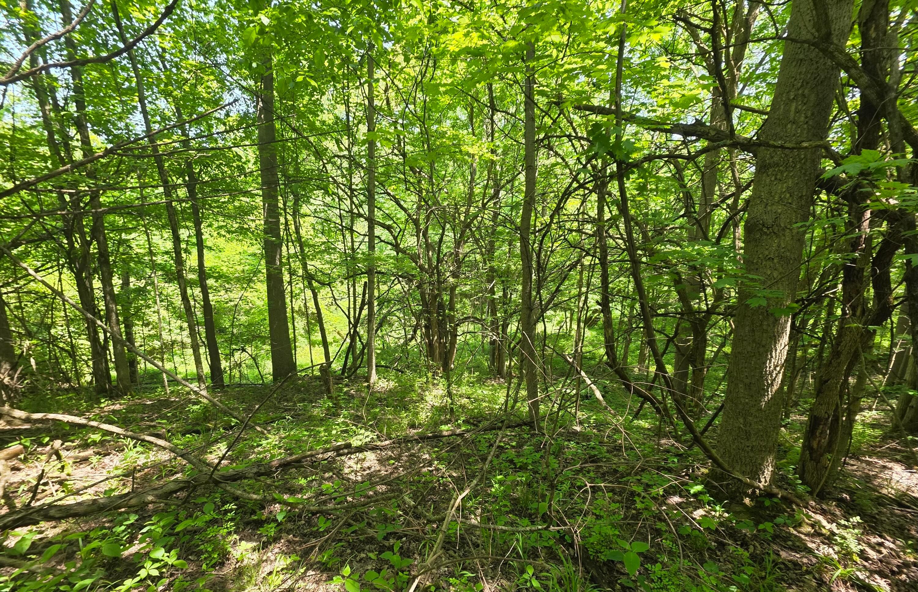 0 Dunham Road, Unit TRACT 1 Mount Vernon, OH 43050 - Photo 10 of 10 120