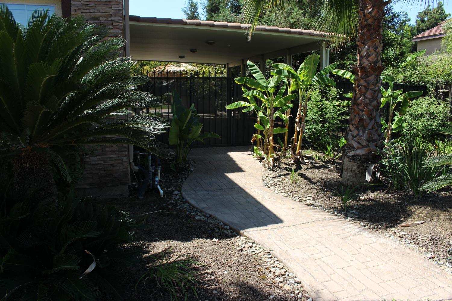 2478 Rall Avenue Clovis, CA 93611 - Photo 35 of 35 a view of outdoor space and yard