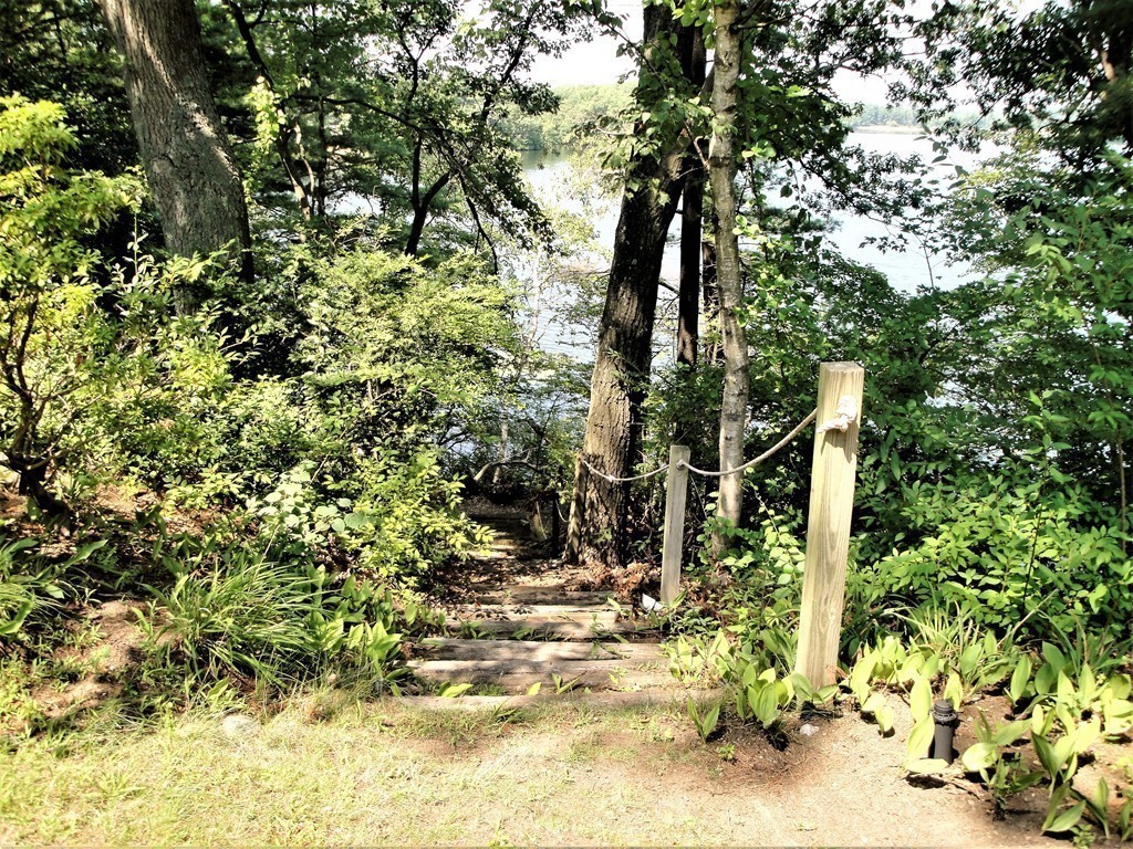63 Lakeshore Road Natick, MA 01760 - Photo 6 of 30 a view of outdoor space and trees