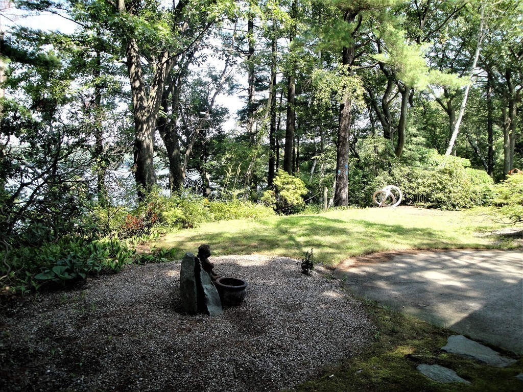 63 Lakeshore Road Natick, MA 01760 - Photo 10 of 30 a view of a garden with a tree