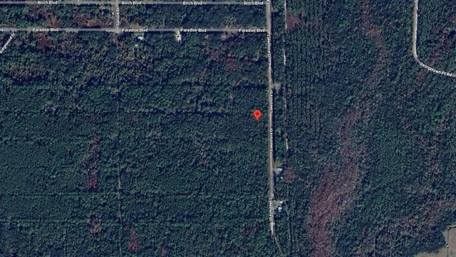 $8,499 | 339 Chipola Drive, Georgetown, FL 32139